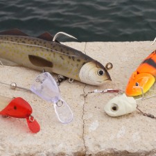 Photos de Leurres Top Fishing Downrigger Pro x5