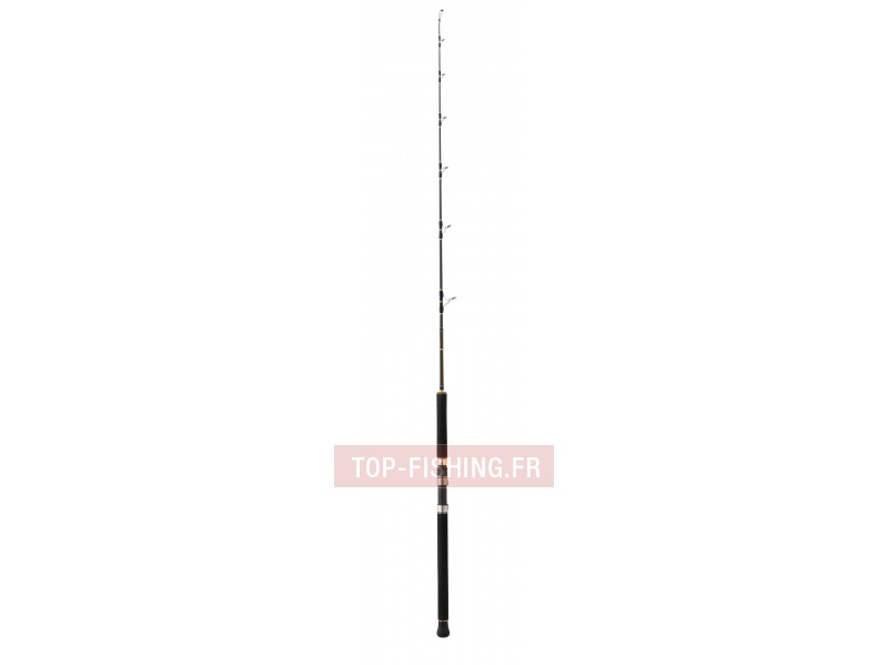 canne-silure-vertical-catfish-extreme-1m80-100-250g.jpg