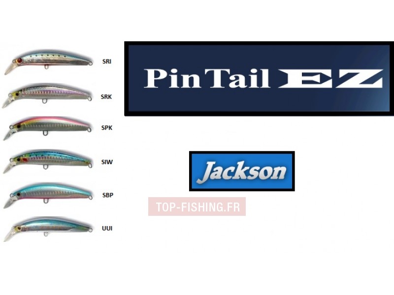 Leurre Jackson Pintail EZ 115mm 45g
