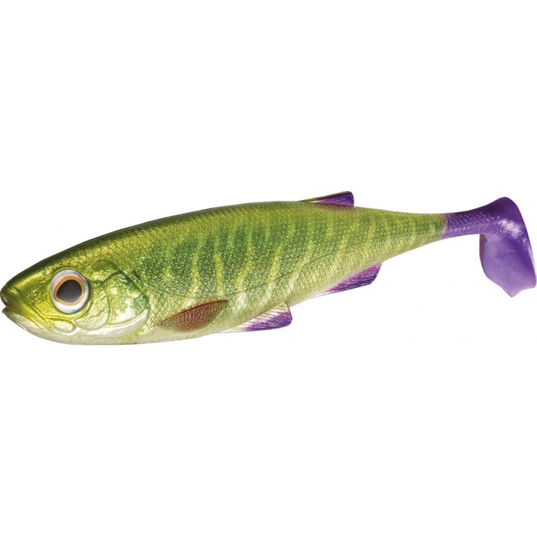 Duke Fin Live Shad Daiwa version XL ! Duke Fin Live Shad Daiwa version XL !