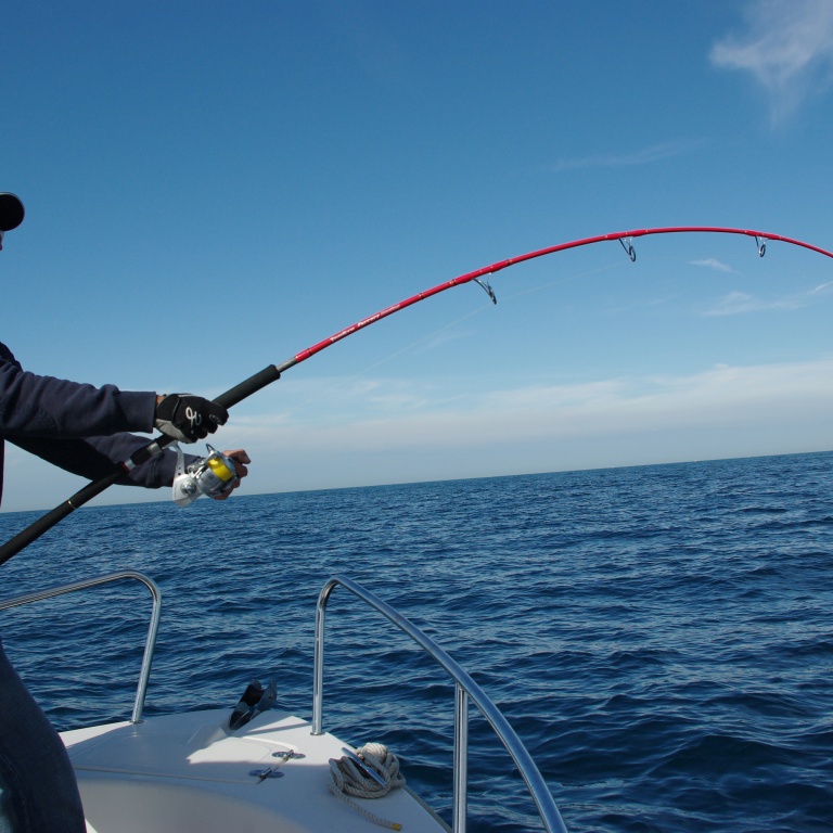 Gros combat sur un jig minnow Gros combat sur un jig minnow