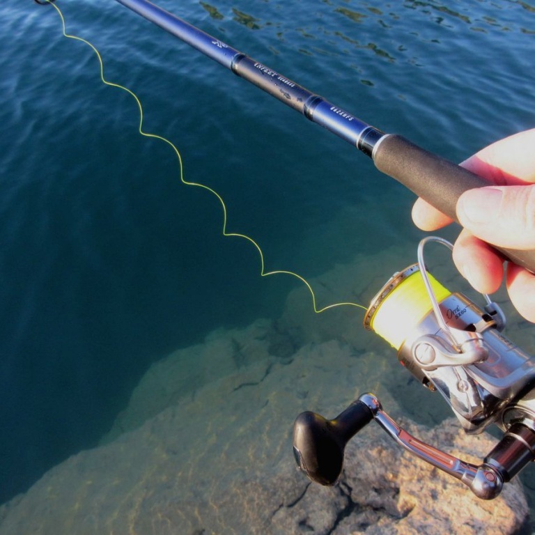 Nous l’avons testé aussi bien au lancer qu’en pêche à soutenir Nous l’avons testé aussi bien au lancer qu’en pêche à soutenir