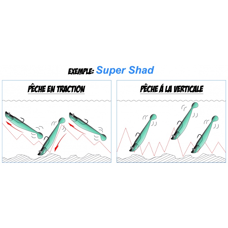 Nage des shads réactifs Nage des shads réactifs