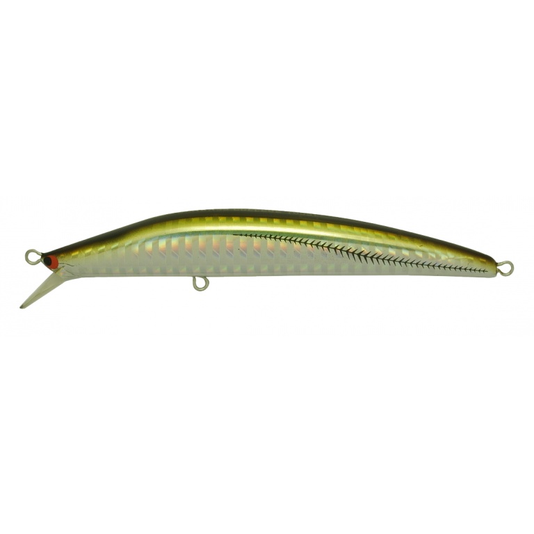 Le Seabass College est une référence pour les pêches dans de faibles profondeurs. Le Seabass College est une référence pour les pêches dans de faibles profondeurs.