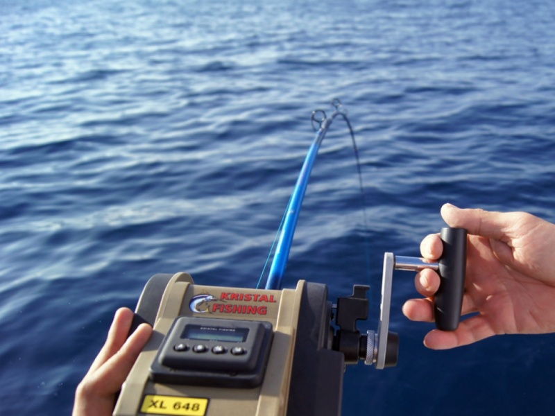 Le moulinet xl 648 DM en pêche Le moulinet xl 648 DM en pêche