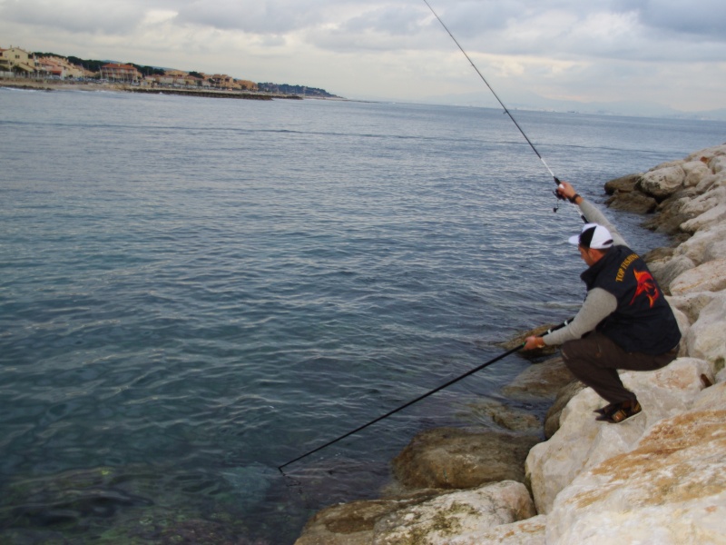 L epuisette Iso Daiwa est parfaite quand on peche des rochers L epuisette Iso Daiwa est parfaite quand on peche des rochers
