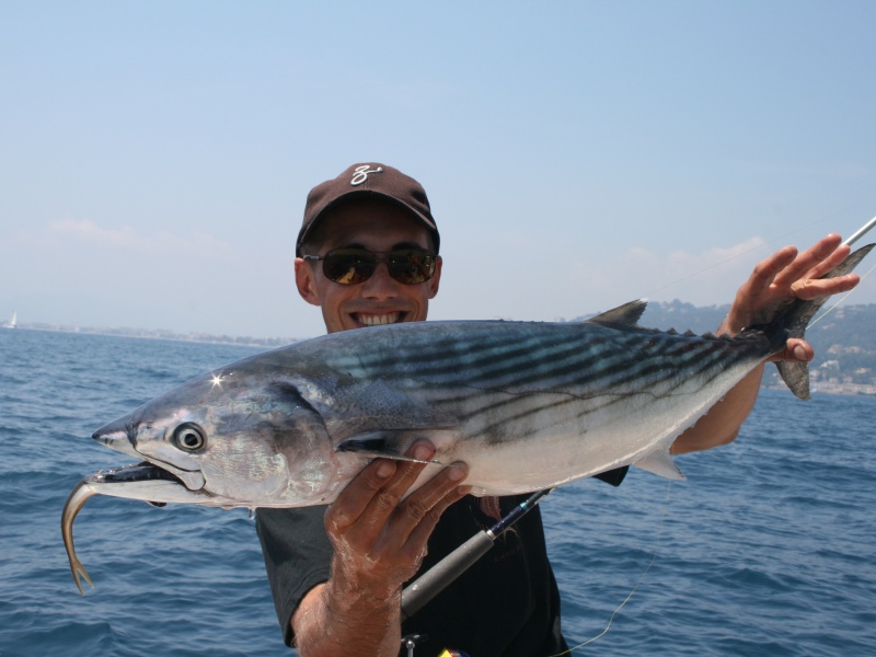 Le peche à la volée permet également de prendre des pélamides Le peche à la volée permet également de prendre des pélamides