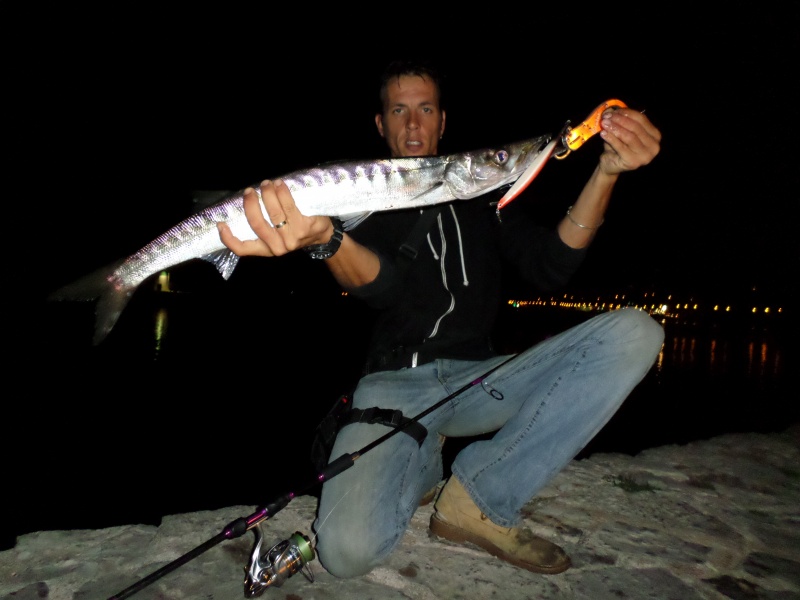 Une fish grip est recommandee pour manipuler un barracuda Une fish grip est recommandee pour manipuler un barracuda