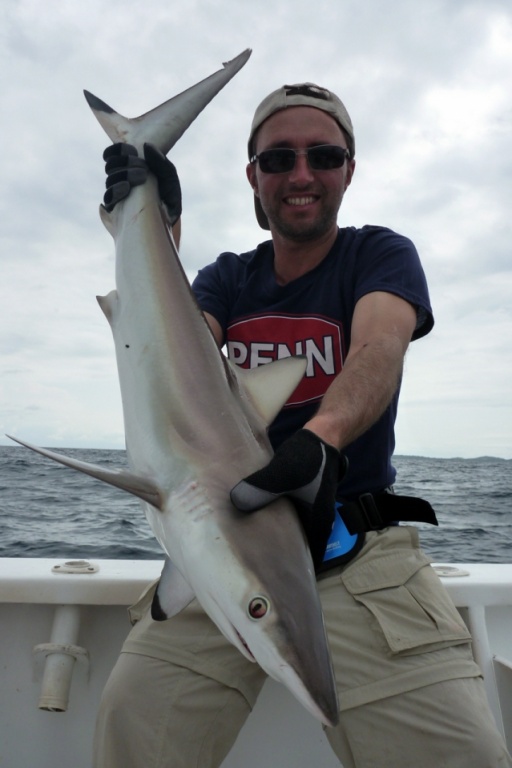Pêche d'un requin avec un leurre Sébile