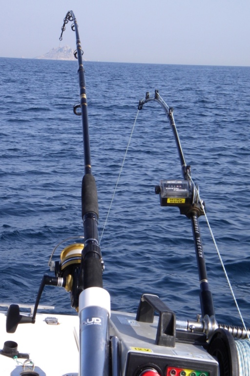 Tout est prêt pour le downrigger ! Tout est prêt pour le downrigger !