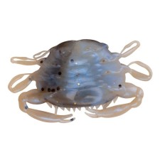 app-ots-berkley-gulp-saltwater-peeler-crab-5-cm-4-1109389