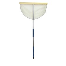 bichette-flashmer-2-papepb100.jpg