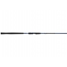 canne-13-fishing-defy-s-spinning.jpg