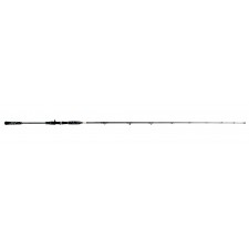 canne-casting-2m10.jpg