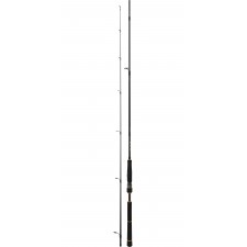 canne-daiwa-bg-seabass-2.jpg