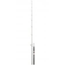 canne-daiwa-bg-seabass-3.jpg