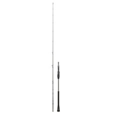 canne-daiwa-legalis-jigging.jpg