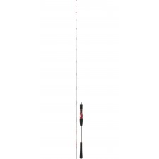 canne-daiwa-powermesh-jigging-3.jpg