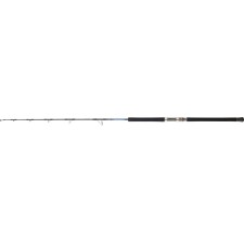 Canne Daiwa Saltiga Jigging