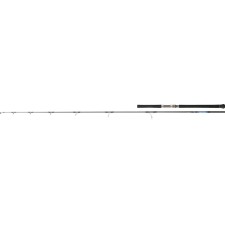 Canne Daiwa Saltiga