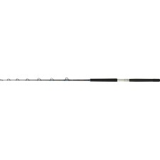 canne-daiwa-sealine-x-trolling.jpg