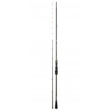 canne-daiwa-team-daiwa-tenya.jpg