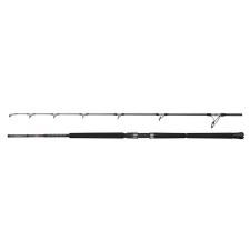 Canne Penn Ally II Offshore Casting Rod-1636256