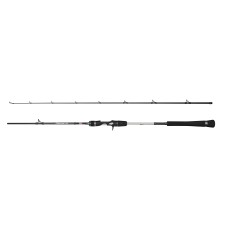 Canne Penn Prevail III Jigging Cast