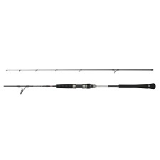 Canne Penn Prevail III Jigging Spin