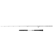 Canne Penn Prevail III Light Jigging Spin