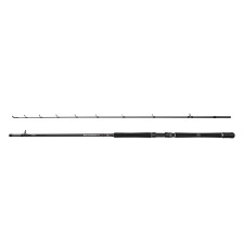 Canne Penn Squadron  IV Halibut Cast