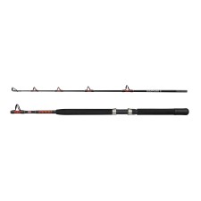 Canne Penn Warfare II Boat Rod