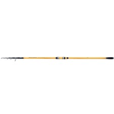 canne-shimano-beastmaster-fx-surf-tele.jpg