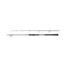 canne-shimano-game-type-slow-jigging-9.jpg