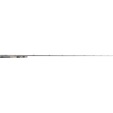 canne-tenryu-injection-bc-73-h-pike-special.jpg