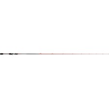Canne Tenryu Injection Bcv 66 Xh