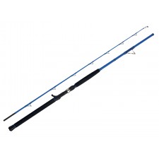 canne-wft-sea-dart-30lbs-bleu.jpg