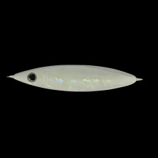 casting-jig-zeake-z-bit-20g-2.jpg