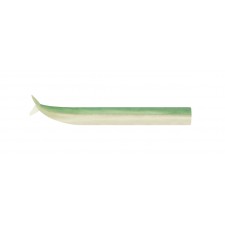 corps-crazy-sand-eel-couleur-vert-nacre.jpg