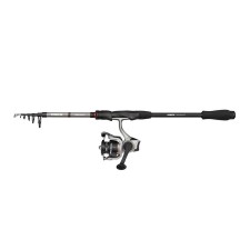 Ensemble Abu Garcia Max X Tele Combo