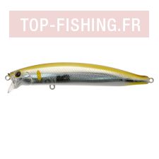 fs105-8.jpg