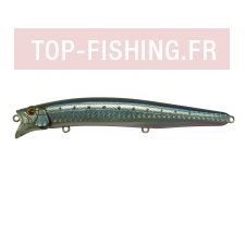 fs128-10.jpg