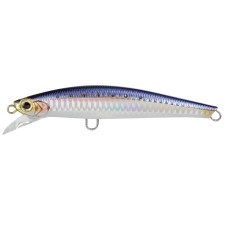 Leurre Jackson Pintail Sawara Tune 105mm-SNI