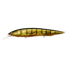 leurre-megabass-kanata-1-3-gg-perch.jpg