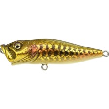 Leurre Megabass Pop X-Dragon_Fish_G