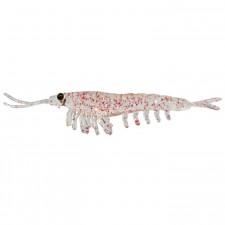leurre-nikko-okiami-shrimp-42mm-092.jpg
