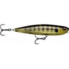 leurre-rapala-precision-xtreme-pencil-107mm-6-ggiu.jpg