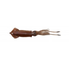 leurre-savage-salt-3d-swim-squid-95mm-brown-uv.jpg