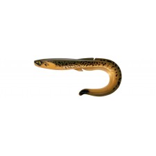 leurre-souple-fishup-ram-grub-255mm-2-302.jpg
