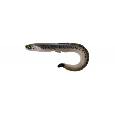 leurre-souple-fishup-ram-grub-255mm-301.jpg